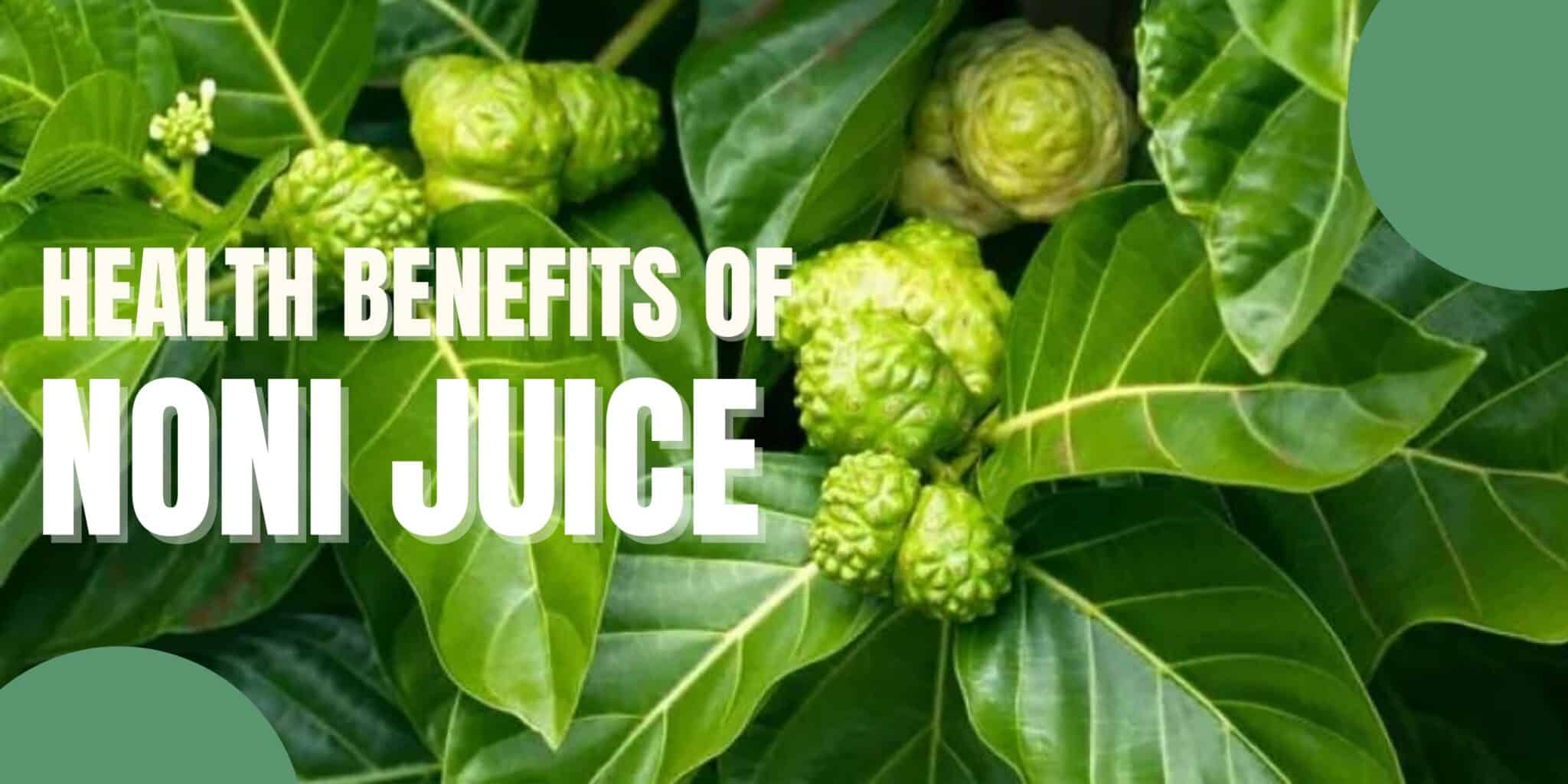 Is Noni Juice Good For Fatty Liver