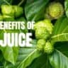 noni juice health benefits